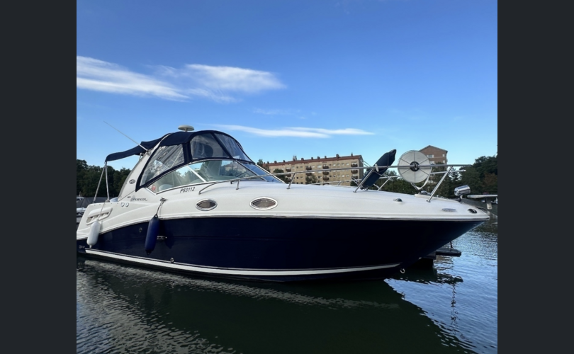 Sea Ray 260/275 Sundancer-kuva-1